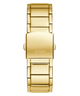 GW0456G1 PHOENIX strap image