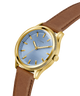 Watch with gold case, blue dial, and brown leather strap on a white background lifestyle