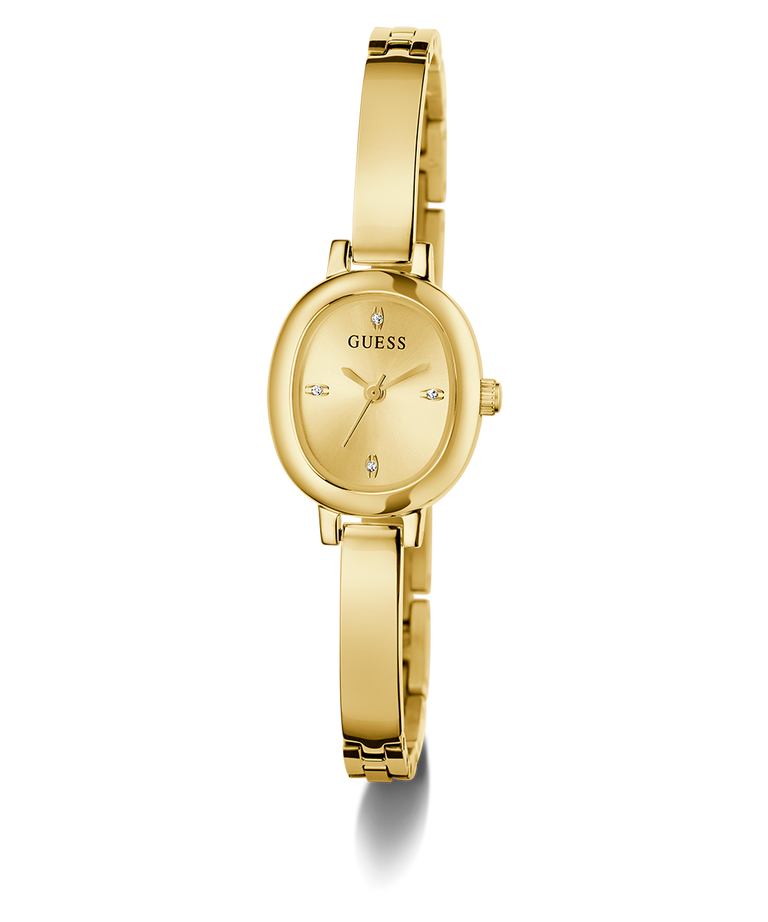 Gold watch with a visible brand logo on a white background GW0924L2