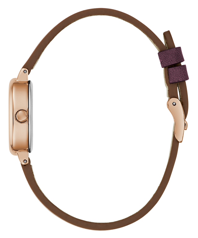 Brown leather strap with gold clasp on a white background