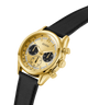 Gold watch with black strap on a white background lifestyle