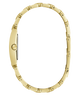 Gold watch case on a white background