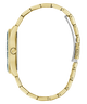 Gold watch case on a white background