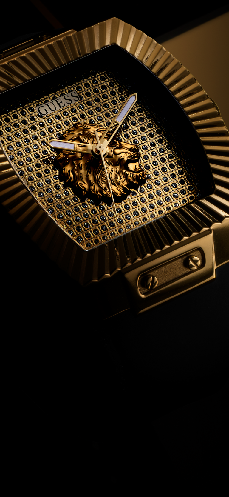 GW1066G2 close up with moody lighting
