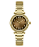 Gold Gc Vogue Cable Mid Size Metal watch with a brown dial featuring Roman numerals on a white background